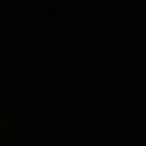 Meet your Posher, Moni